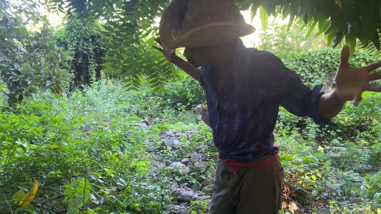 Los haitianos dicen que de Az&uacute;a 😱 mira el final