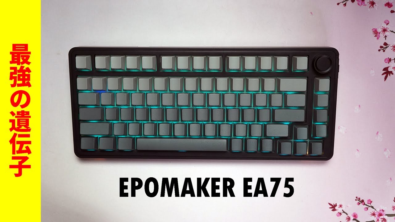 【最強の遺伝子】EPOMAKER EA75 レビュー【ガスケットメカニカルキーボード】