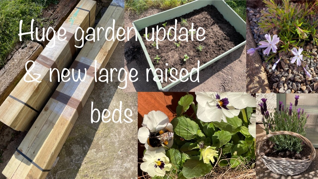 Huge garden update new large raised beds and B&Q haul vlog #garden #gardencentre #raisedbeds