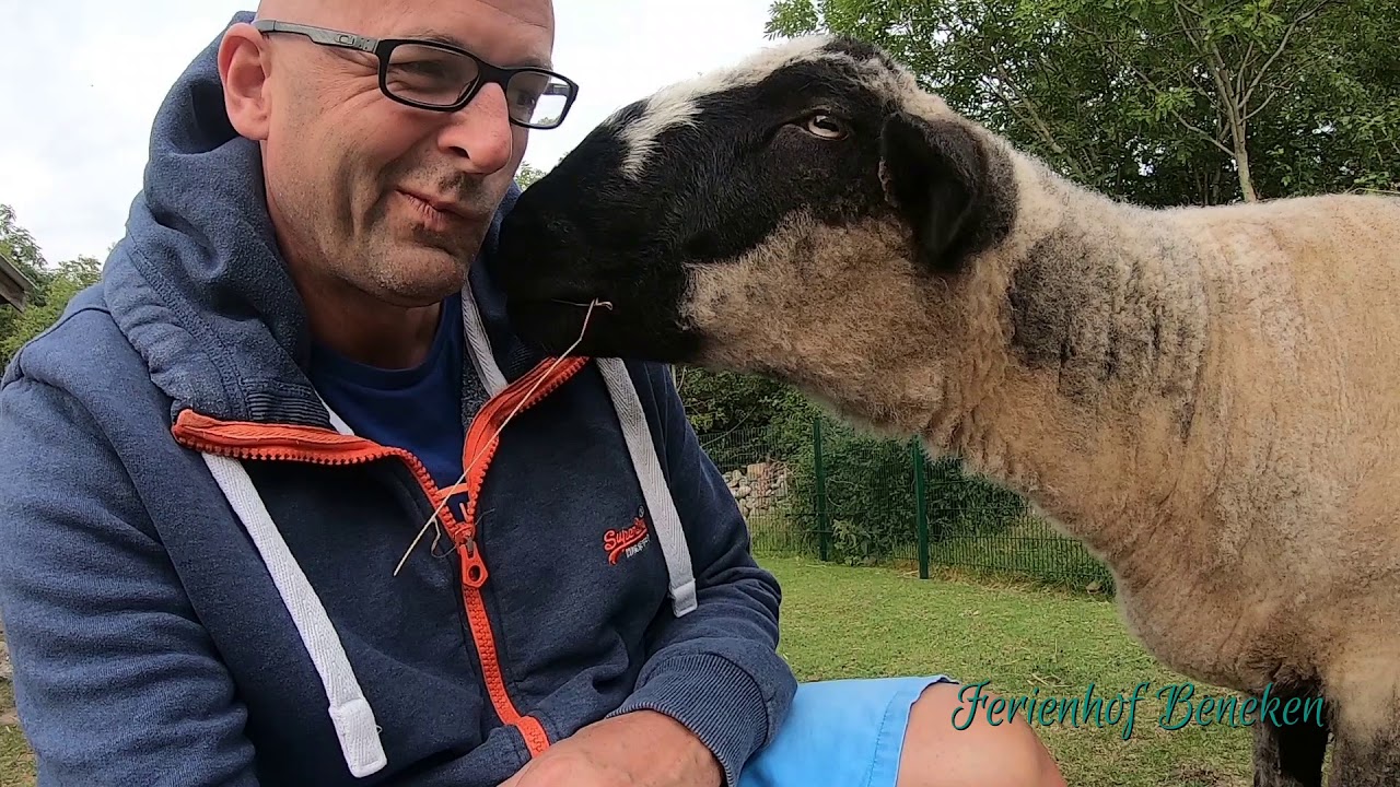 Ferienhof Beneken2019