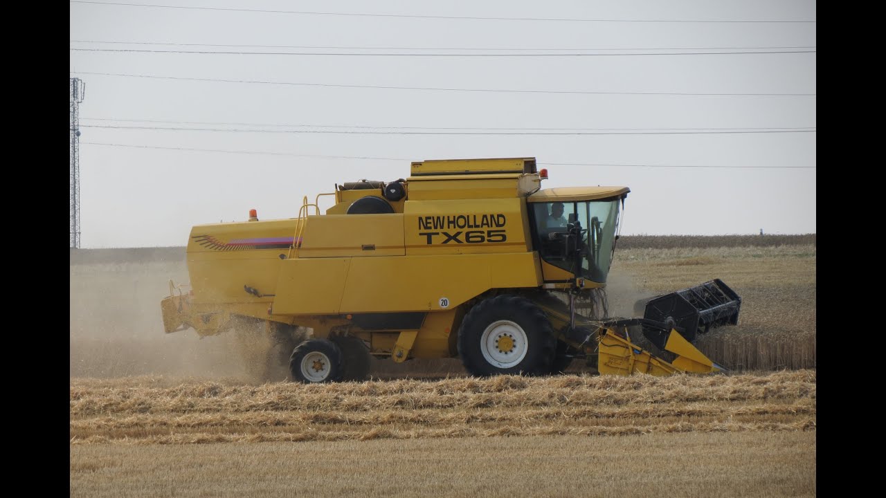 Dreschen  mit  New Holland TX 65 Plus Sommer 2015