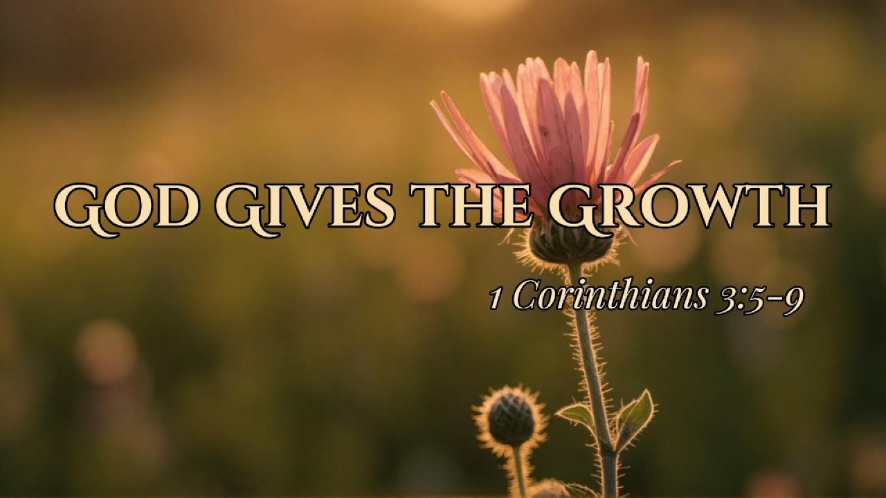 🕊️ God Gives the Growth: 1Cor 3:5-9