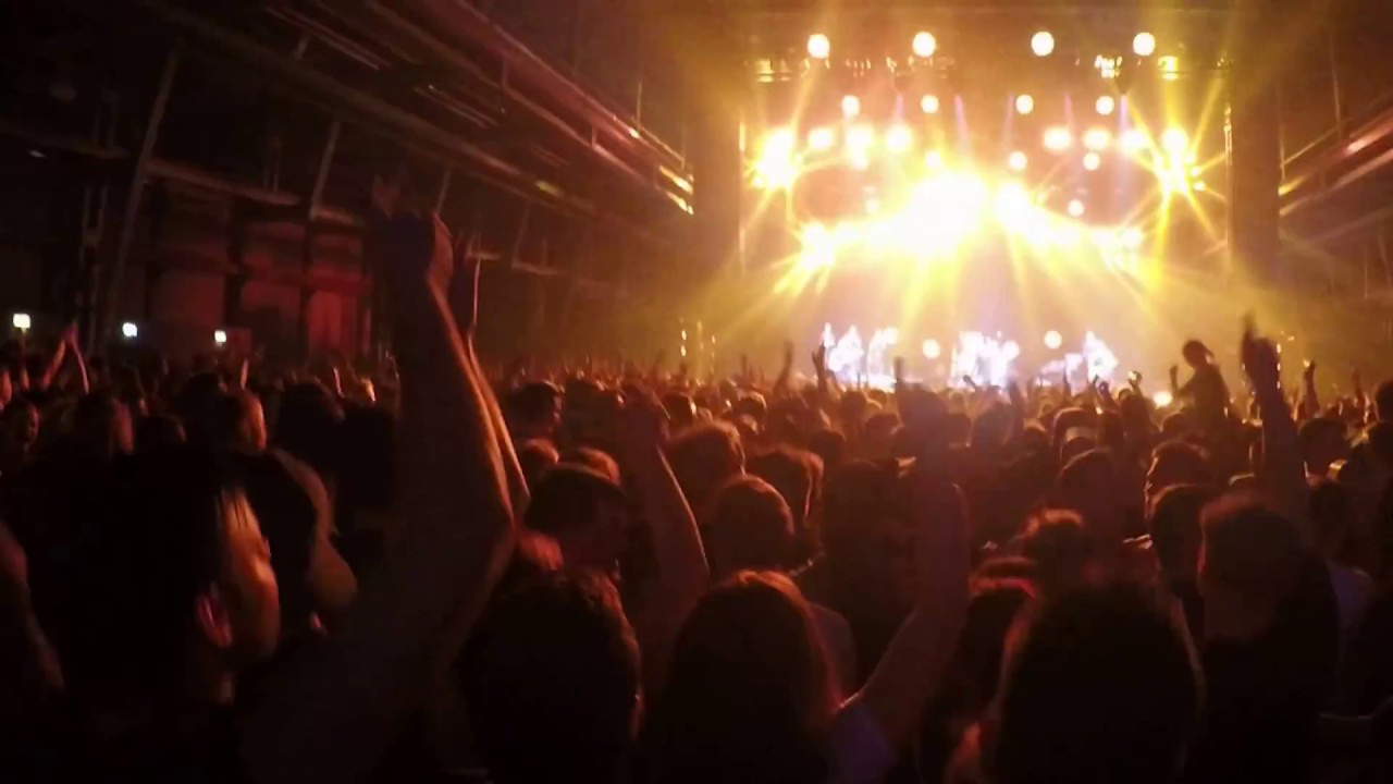 Broilers - Wo es hingeht - live