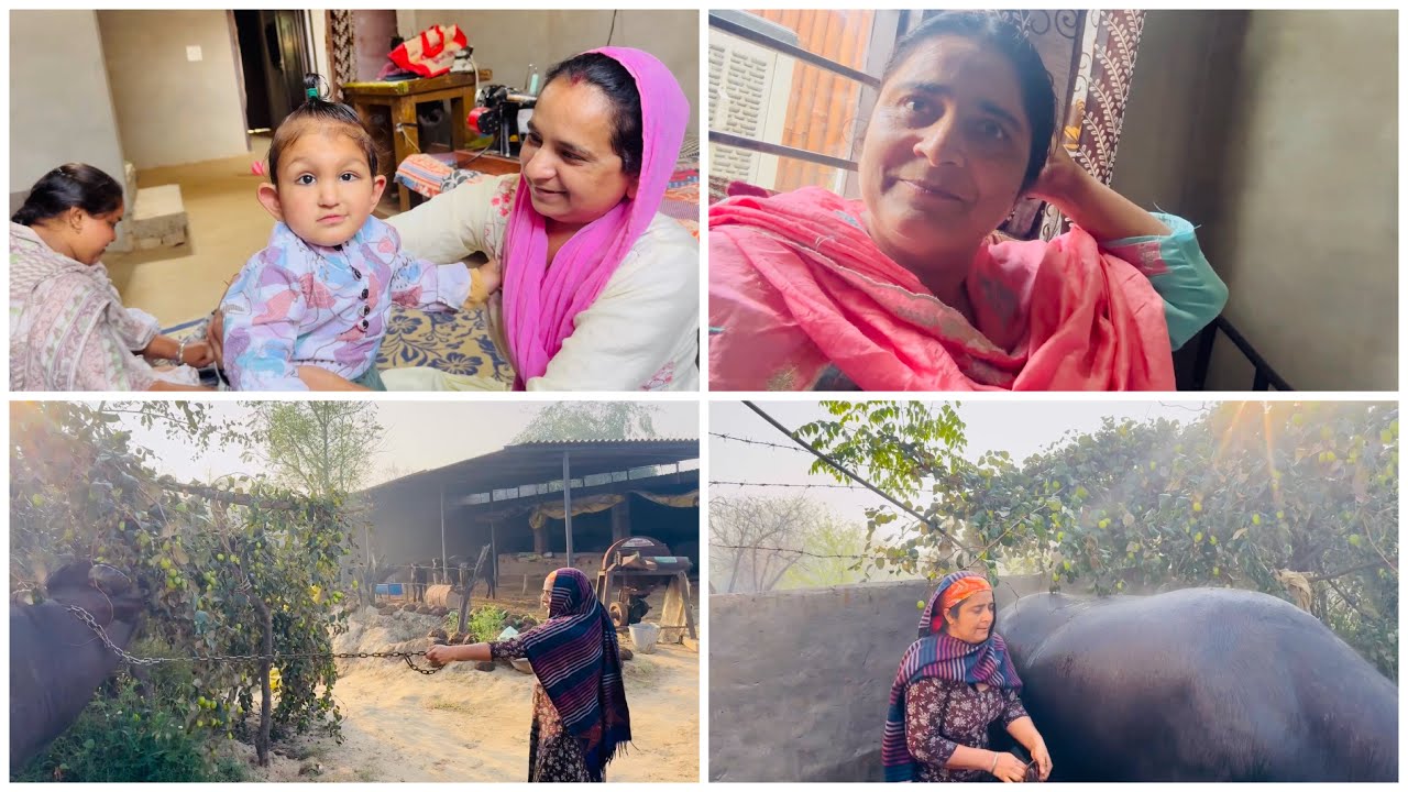 ਜੇ ਕੋਈ ਹੱਲ ਹੈ ਤਾਂ ਦੱਸ ਦਿਓ ਮੈ ਤਾ ਇਸ ਤੋ ਅੱਕੀ ਪਈ ਆ || life of Punjab || by Dullat family vlogs ||