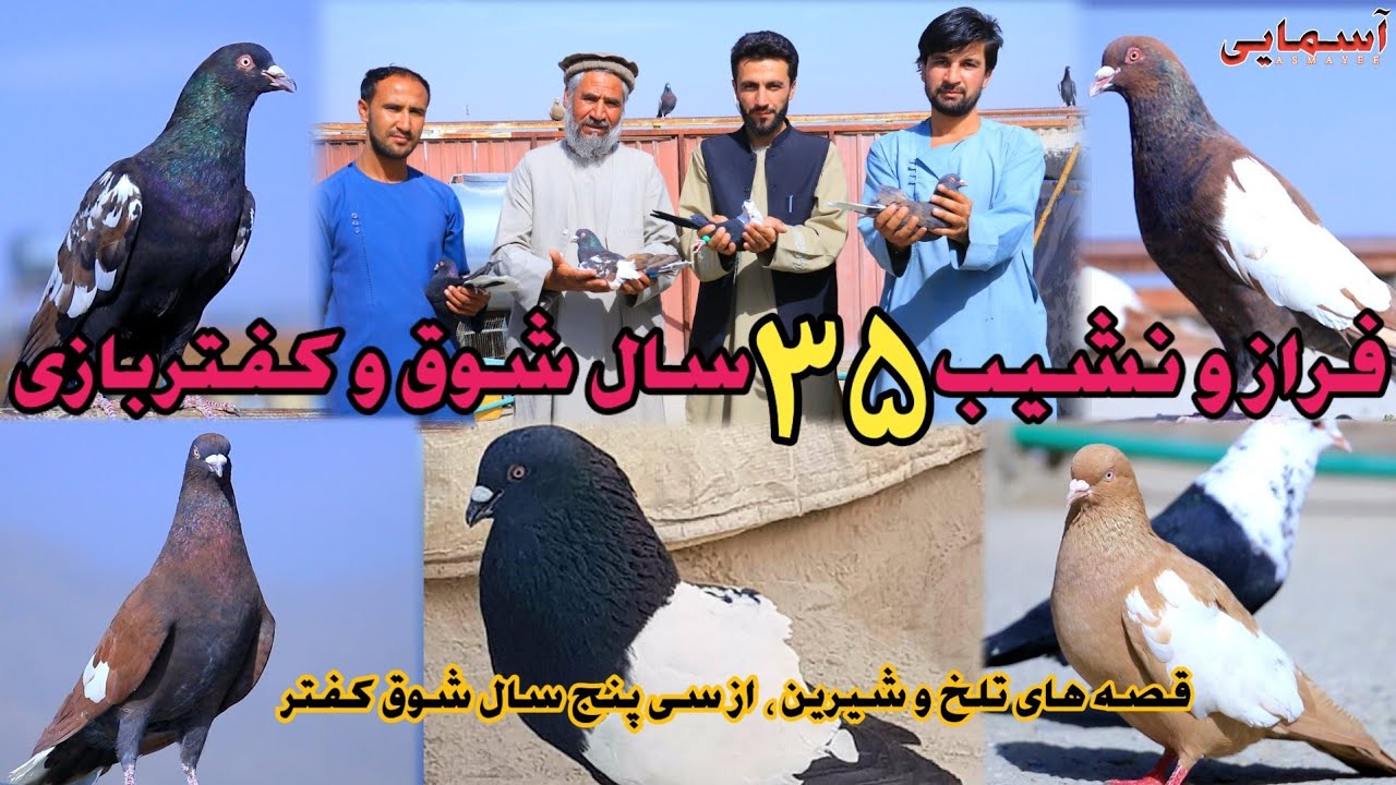 شوق با حاجی توریالی کفتر دوان و شوقی نامی چهاردهی زمین/ فراز و نشیب شوق/ تفاوت کفتر کابل با مزار
