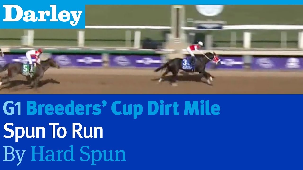 Spun To Run by Hard Spun wins the G1 Breeders' Cup Dirt Mile at Santa Anita