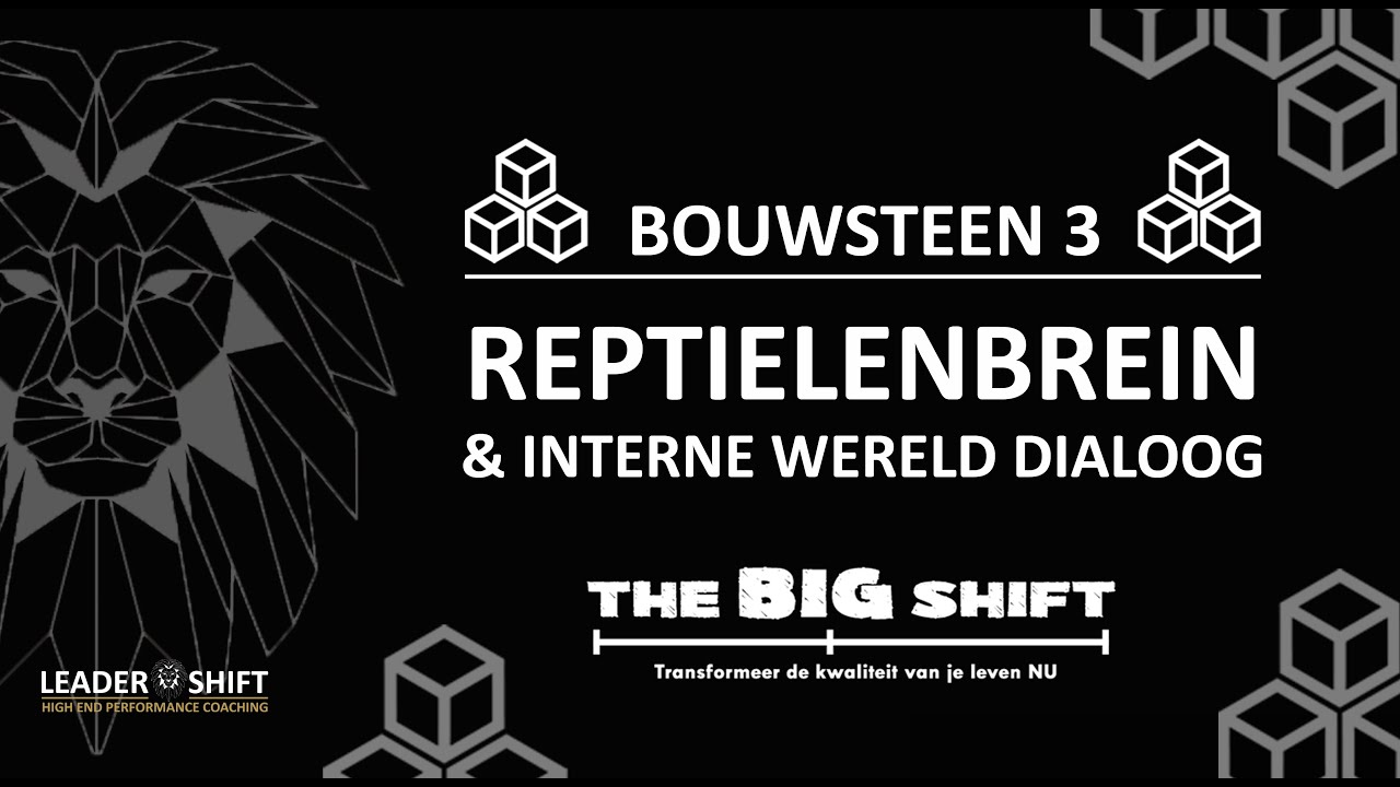 Aflevering 3 Reptielenbrein & Interne Wereld Dialoog | The Big Shift