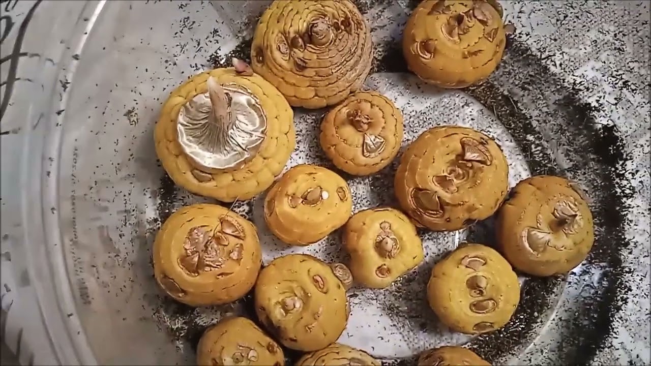 Хочется уже весны... 