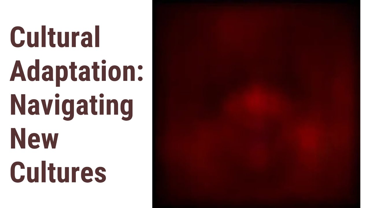 Adapting to the World: The Cultural Adaptation Process