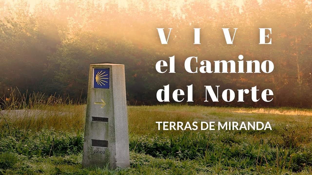 Vive el Camino Norte 2020