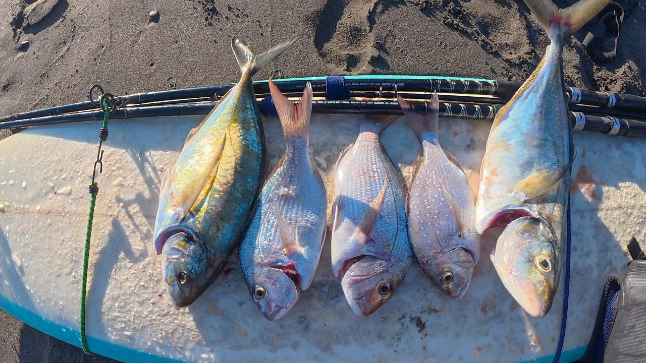 I WENT FISHING ON A SURFBOARD