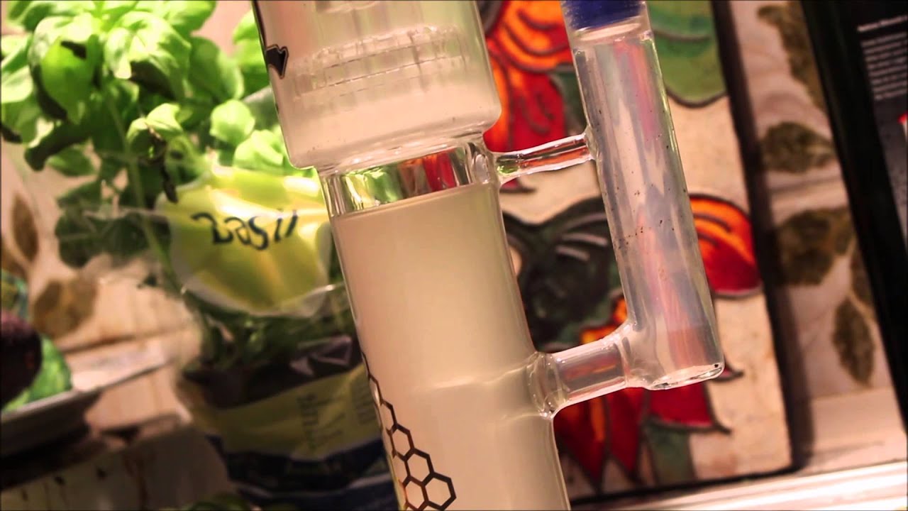 Bong Master - Bong cleaning & Review - Music by: Bonobo