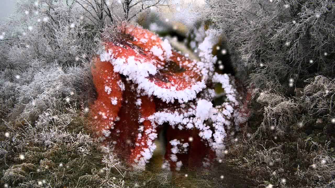 A T&eacute;l Var&aacute;zsa. / Winter Charms /