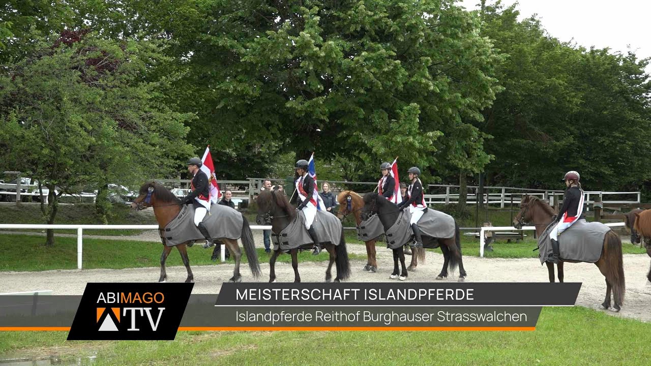 Island­pferde Salzburger und Tiroler Meister­schaft 2024
