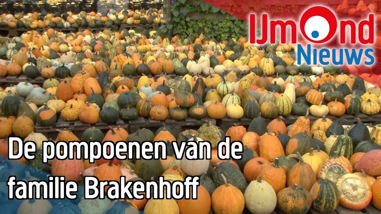 De pompoenen van de familie Brakenhoff