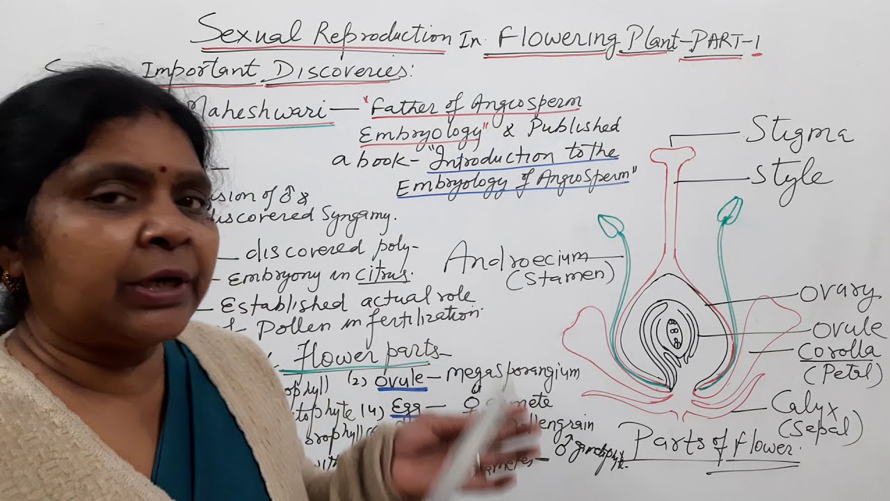 #Parts of flower and Discoveries| Sexual  Reproduction in Flowering Plants| L-1|Class 12|NEET|