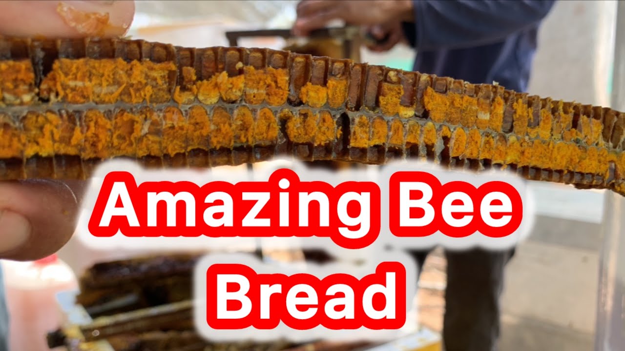 🌾 How I Cut Bee Bread from Bee Rafter – Pure Nutrition Inside the Hive