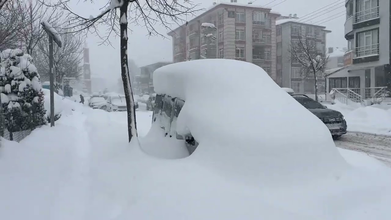 Bolu kar yağışı 2. Dalga #karyağışı #snow #winter #bolu #snowfall #kış 