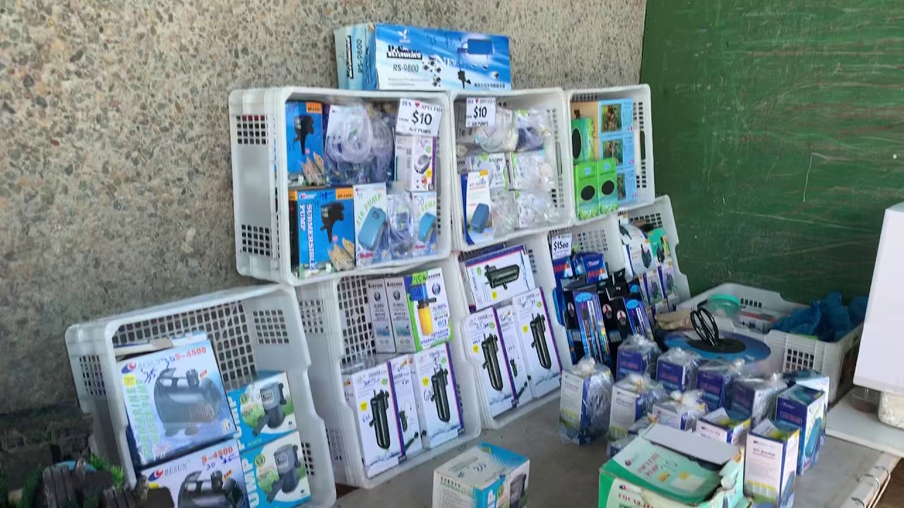 Flemington Sydney Pets Market Fish World
