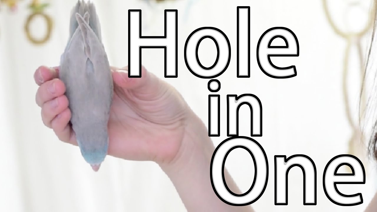Hole In One | Training Tutorial