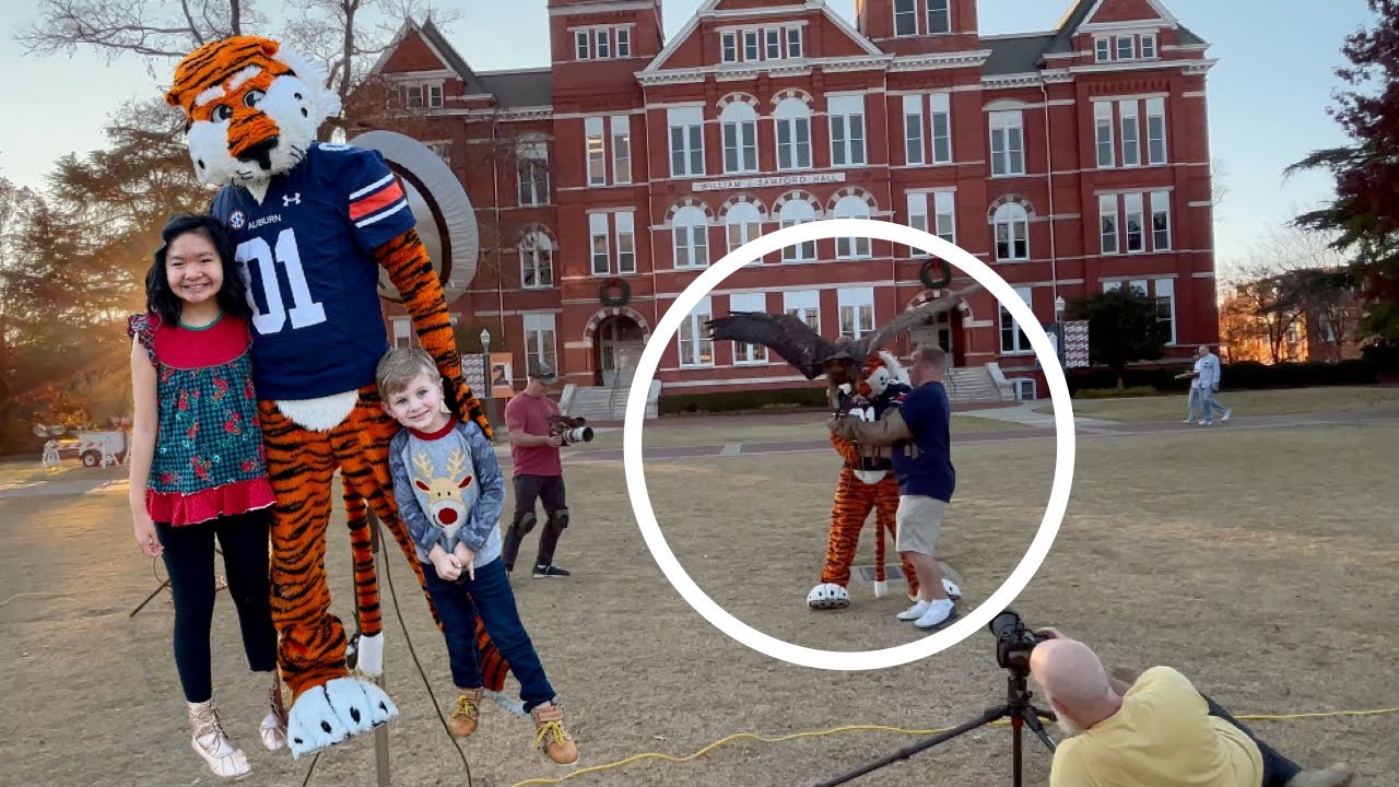 The Eagle Tried To Fly Away! We Got To Meet Aubie!