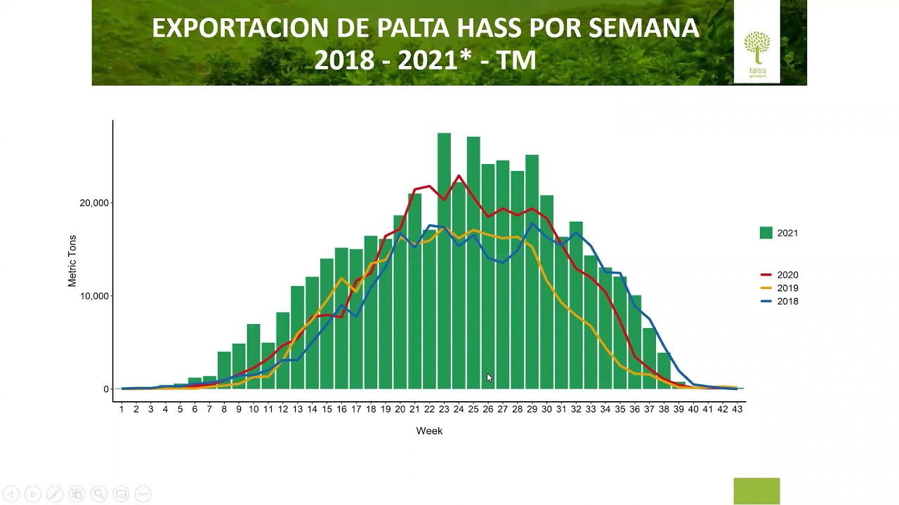 PROCESO DE EXPORTACIÓN DE PALTA 22/11/2021