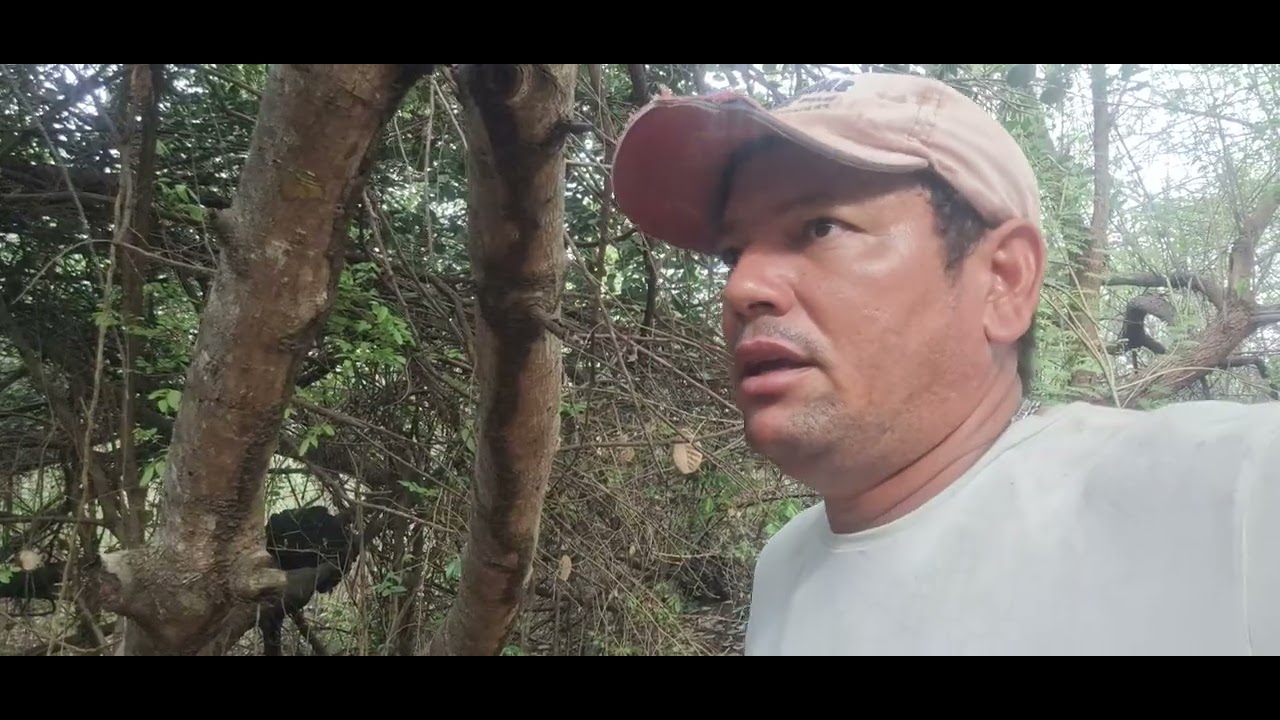 Almir🪾 até que enfim achei o que tava procurando.🙏🌴🙏🌵🌲🪾🌴😱😱