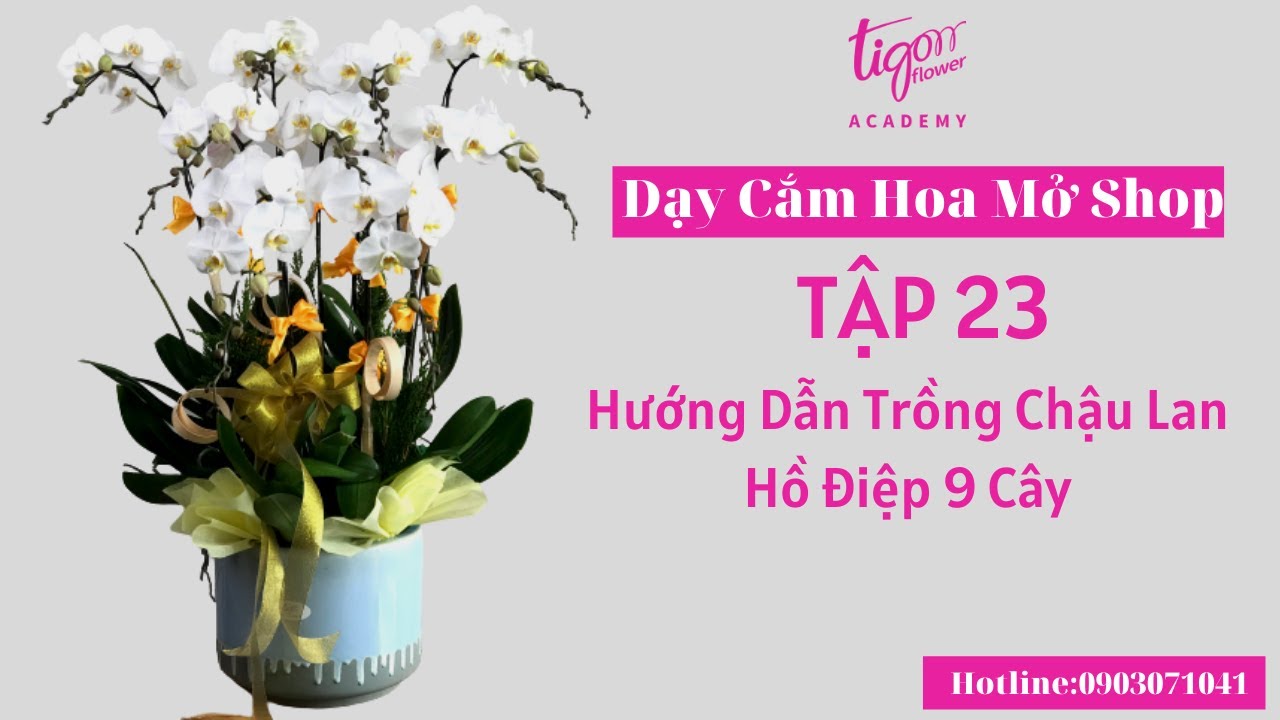 Hướng Dẫn Trồng Chậu Lan Hồ Điệp 9 Cây - Dạy Cắm Hoa Mở Shop(Tập 23)