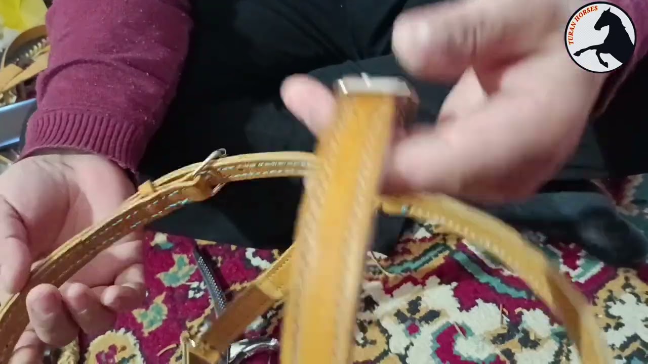 Классикалық жүген