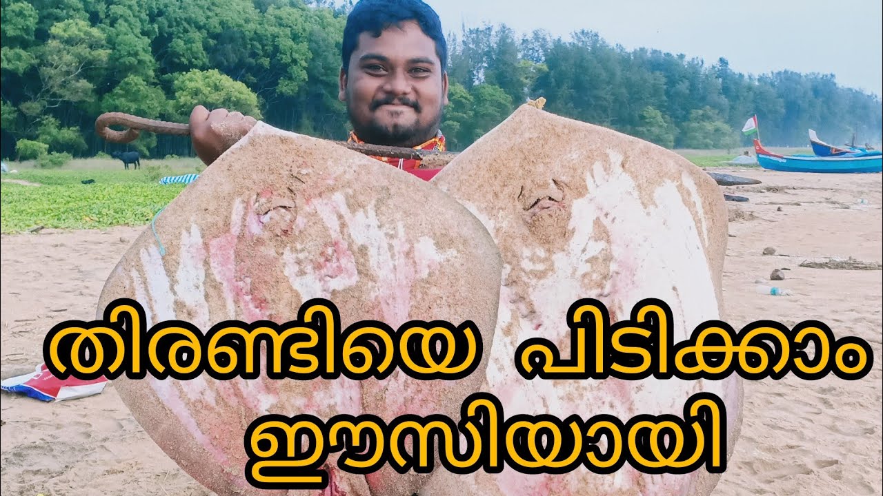 തിരണ്ടിയെ പിടിക്കാം ഈസി യായി. Simple tricks to catch stingray's