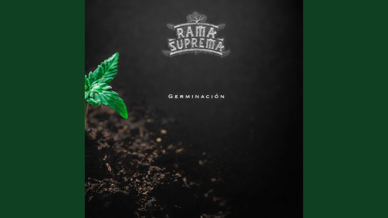 Germinacion