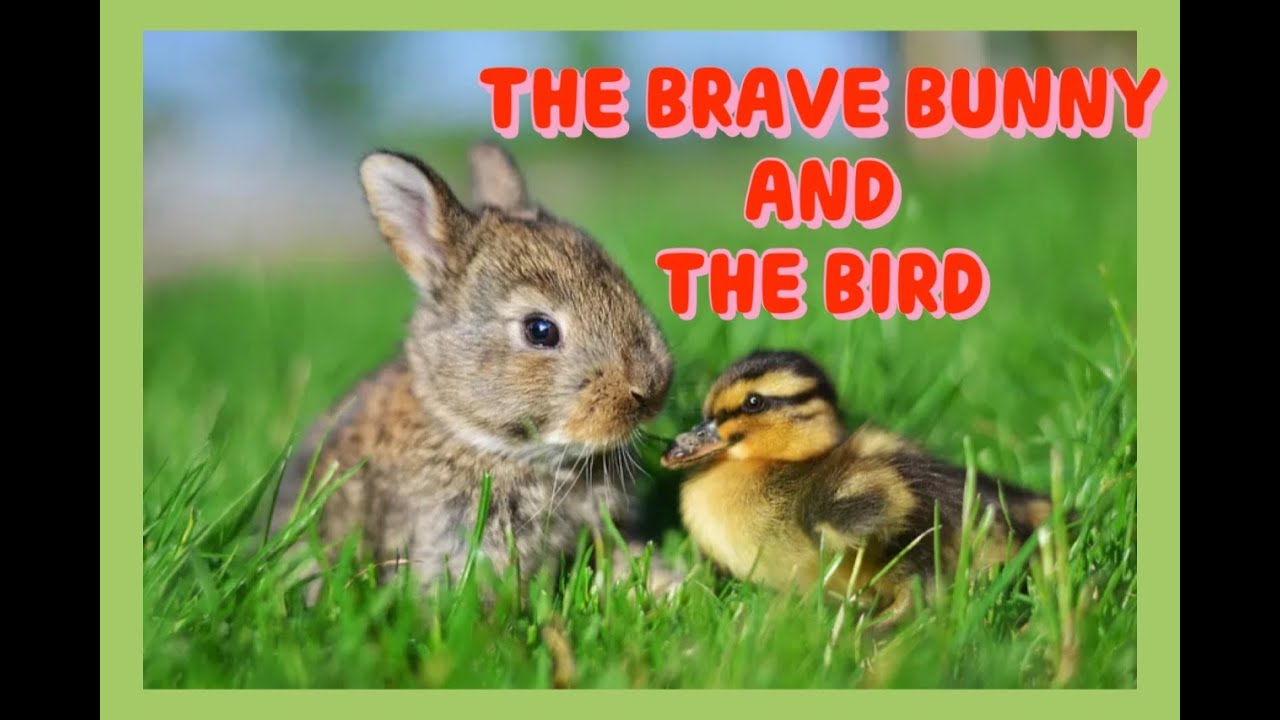 The Bunny And The Bird | Pippa The Bunny #fairytales #bedtimestories #cartoon
