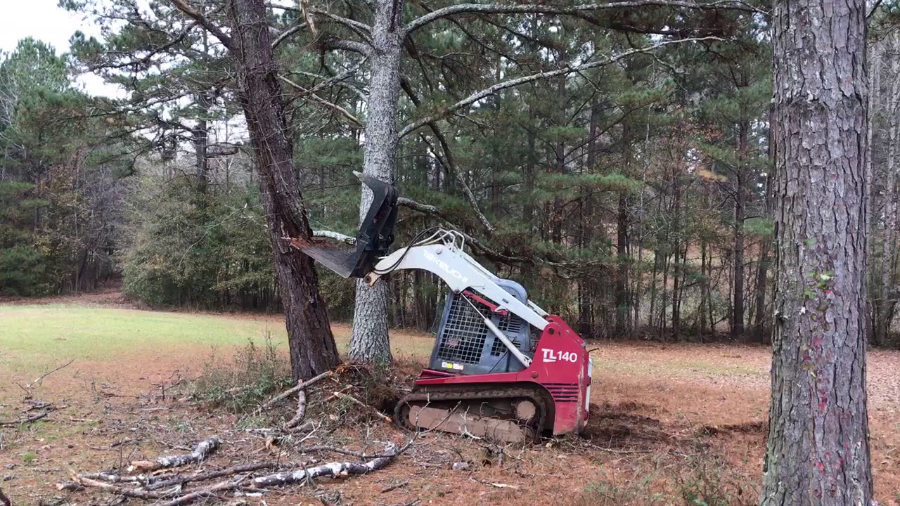 Takeuchi tl 140 pushing over a dead tree