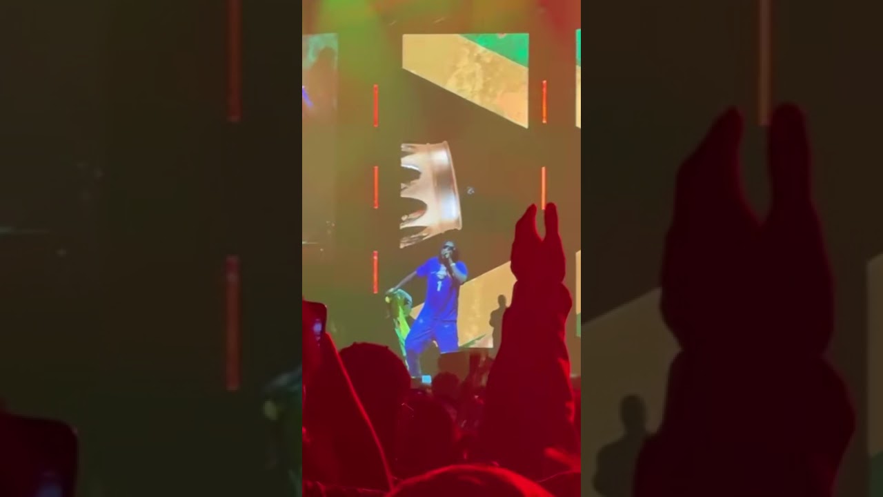 FULL HIGHLIGHTS: Vybz Kartel SHUTS DOWN Paris 🇫🇷 2025| First Major Performance After Prison Release.