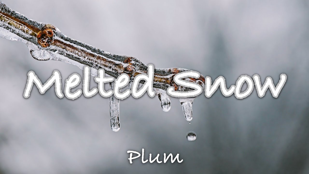 눈이 녹고 봄이 오듯이 / Melted Snow by Plum
