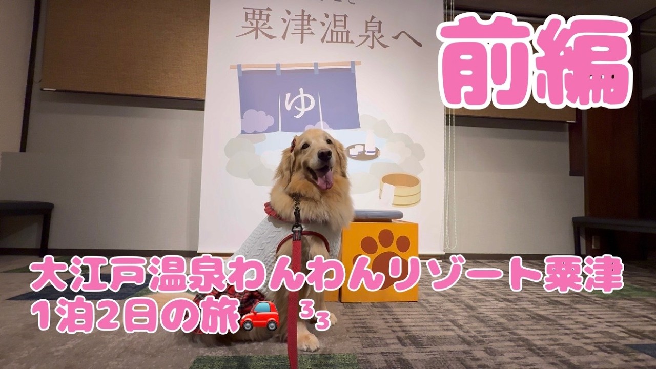 大江戸温泉わんわんリゾート粟津トラくんモモちゃん1泊2日旅　前編