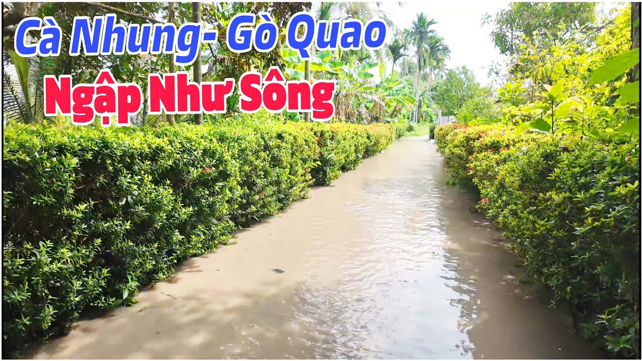 Hành Trình Đường Xuồng Đến Cà Nhung - Nước Lên Cao, Có Những Nơi Bị Ngập Như Sông | Lâm Ái Vlog
