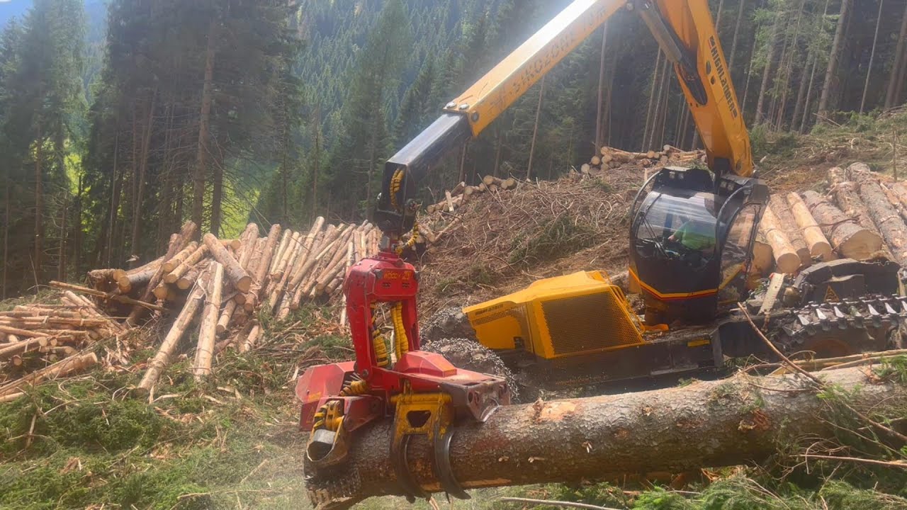 🌲 Forest Peg 🌲Konrad Highlander & Woody H60
