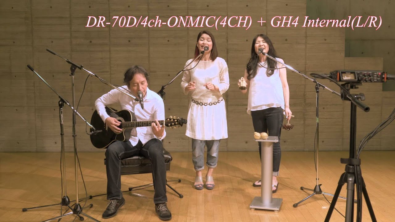 TASCAM DR-70D/60Dmk2 PV