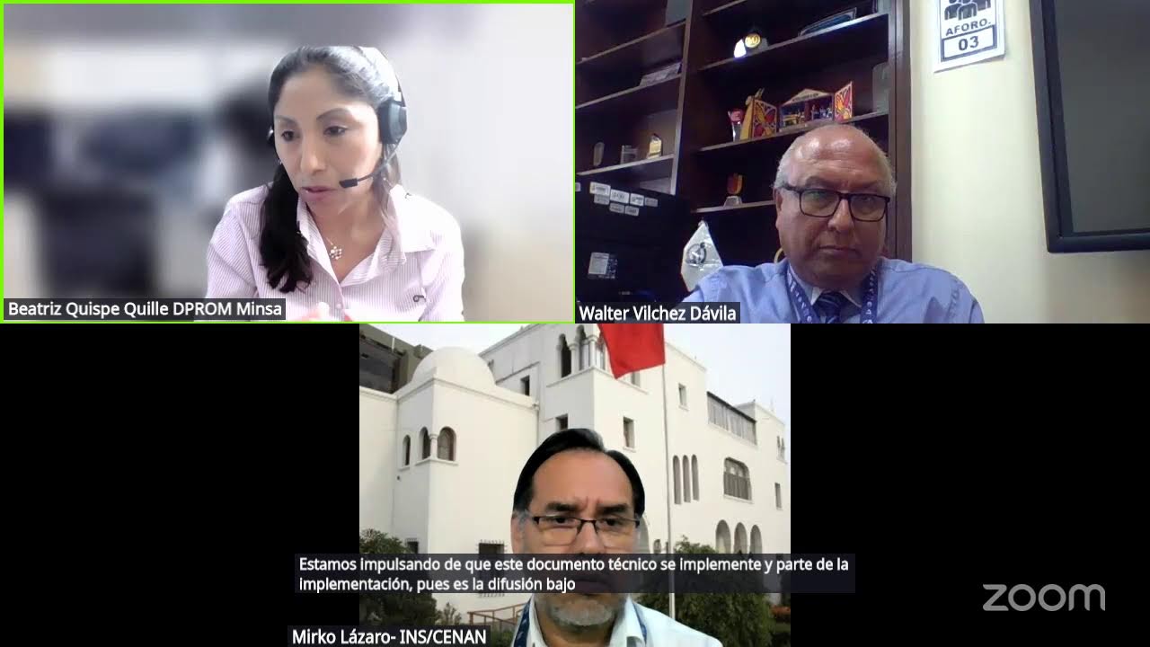 VIRTUAL 8 DPROM Difusión del DT Sesiones demostrativas