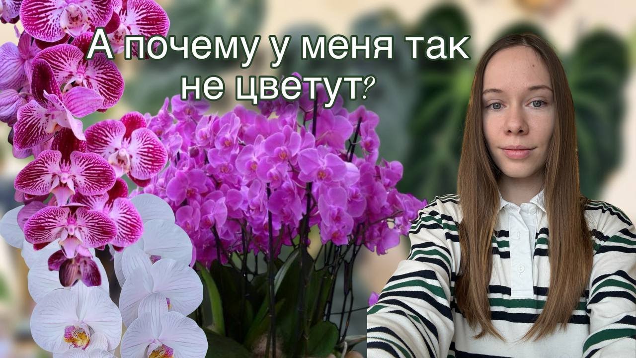 5 ошибок, из-за которых орхидеи НЕ ЦВЕТУТ годами!