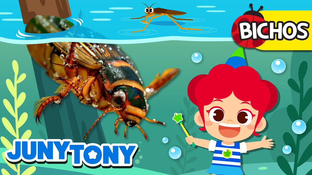 Bichos Acu&aacute;ticos | Bichos | Nuestros Amigos | Bichos en el Agua | JunyTony en espa&ntilde;ol