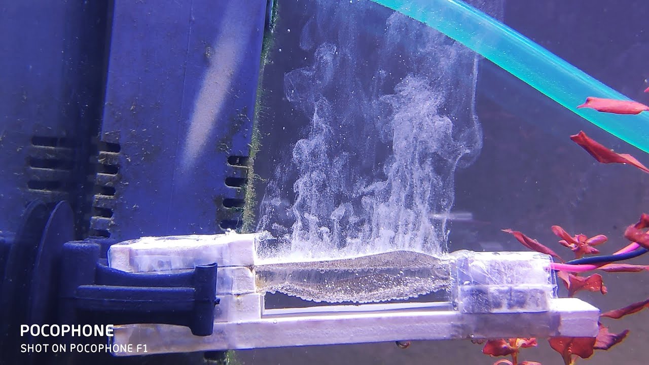 Aquarium Sterilizer কি? কিভাবে বানাবেন? | DIY Aquarium Sterilizer