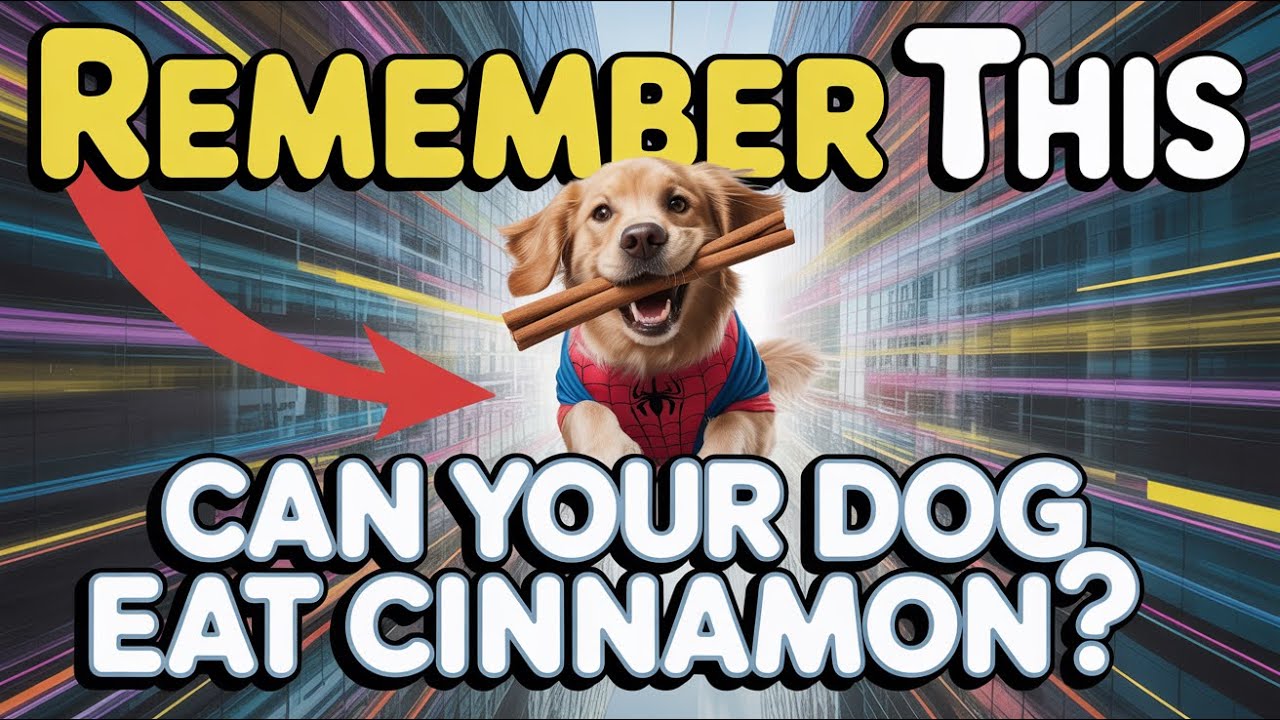 What Really Happens When Dogs Eat Cinnamon?