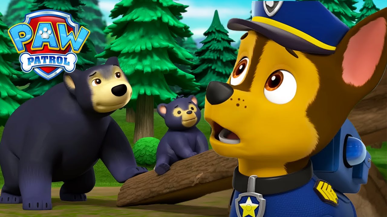 Chase räddar kattungarna från en hungrig björnmamma | PAW Patrol | På Svenska