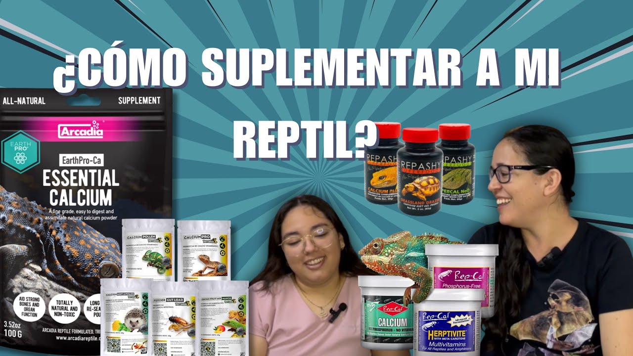 T4EP01 Así funcionan los SUPLEMENTOS 🦴🩸de Calcio y Vitaminas en REPTILES 🦎 | Hemos regresado 👀