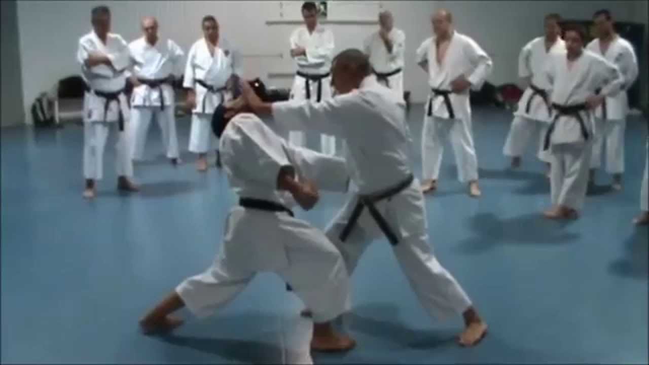 Heian Godan Oyo Dai Bunkai Goshin 3er. nivel (dividido en cinco bloques)