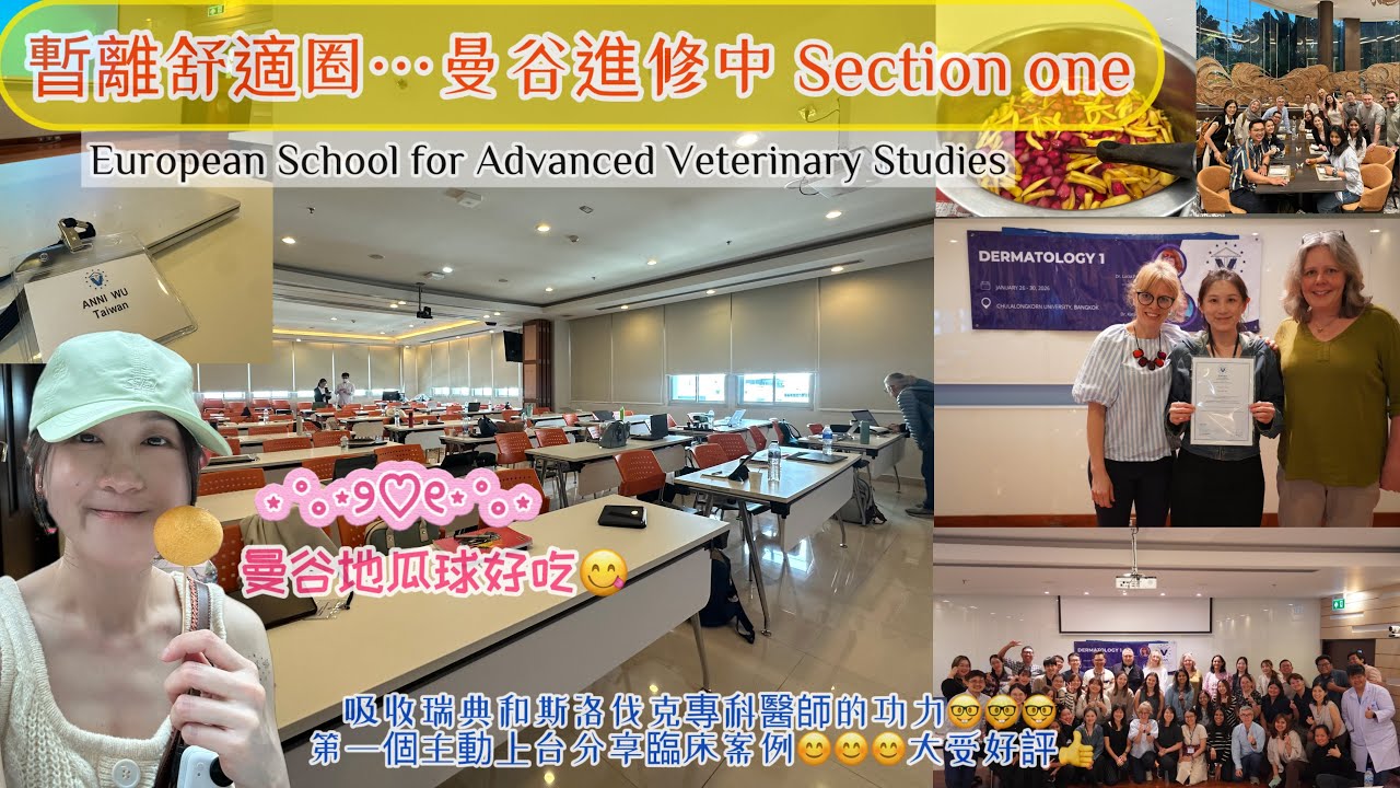 2026一月參加歐洲獸醫進階教育課程，課程內容不能紀錄，只記錄那些食物😋😋一月曼谷天氣太棒了！回國前在長榮航空機場貴賓室待超過五個小時💤💤💤累爆