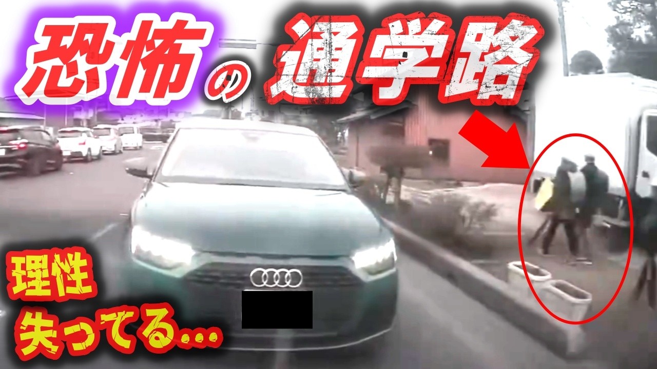 【ドラレコ】【戦慄】命知らずな女が最後に浮かべた「衝撃の笑顔」 / 子供たちの命を脅かす理性を欠いた運転 / 人生が詰む「赤色の裁き」【危険予知トレーニング】