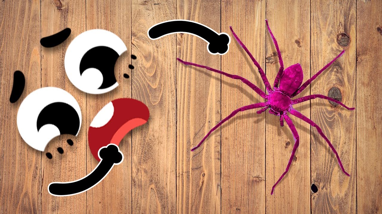OOPS! Everyday Problems Of Clumsy Doodles || Funny Objects And Their Struggles By Doodland